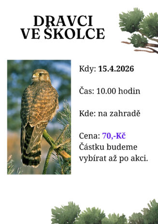 DRAVCI VE ŠKOLCE